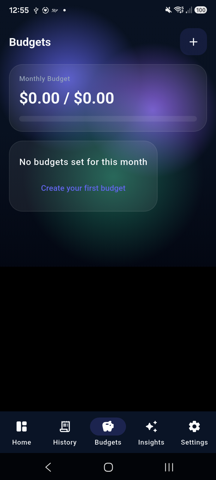 Budgets screen